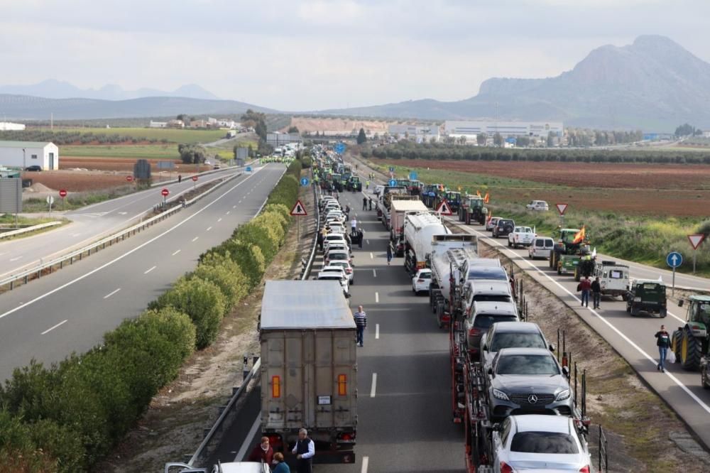 Tractorada de los agricultores y ganaderos malagueños contra los precios bajos que impone la industria.