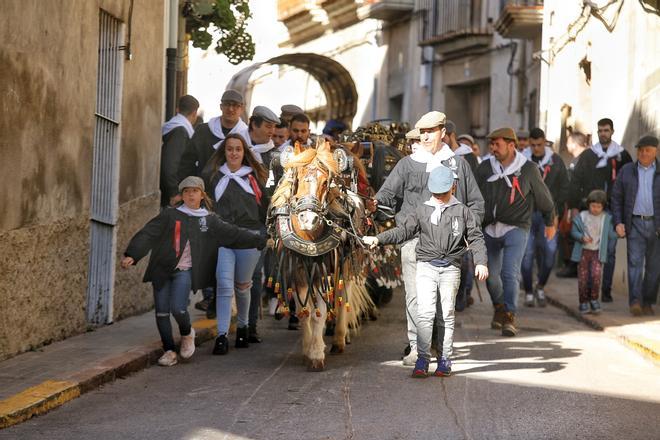 Las mejores imágenes del multitudinario 'Dia de la Teia' de Borriol