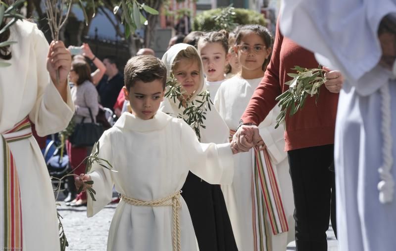 LAS PALMAS DE GRAN CANARIA. Procesión de la Burrita, Domingo de Ramos en la Ermita San Telmo.  | 14/04/2019 | Fotógrafo: José Pérez Curbelo