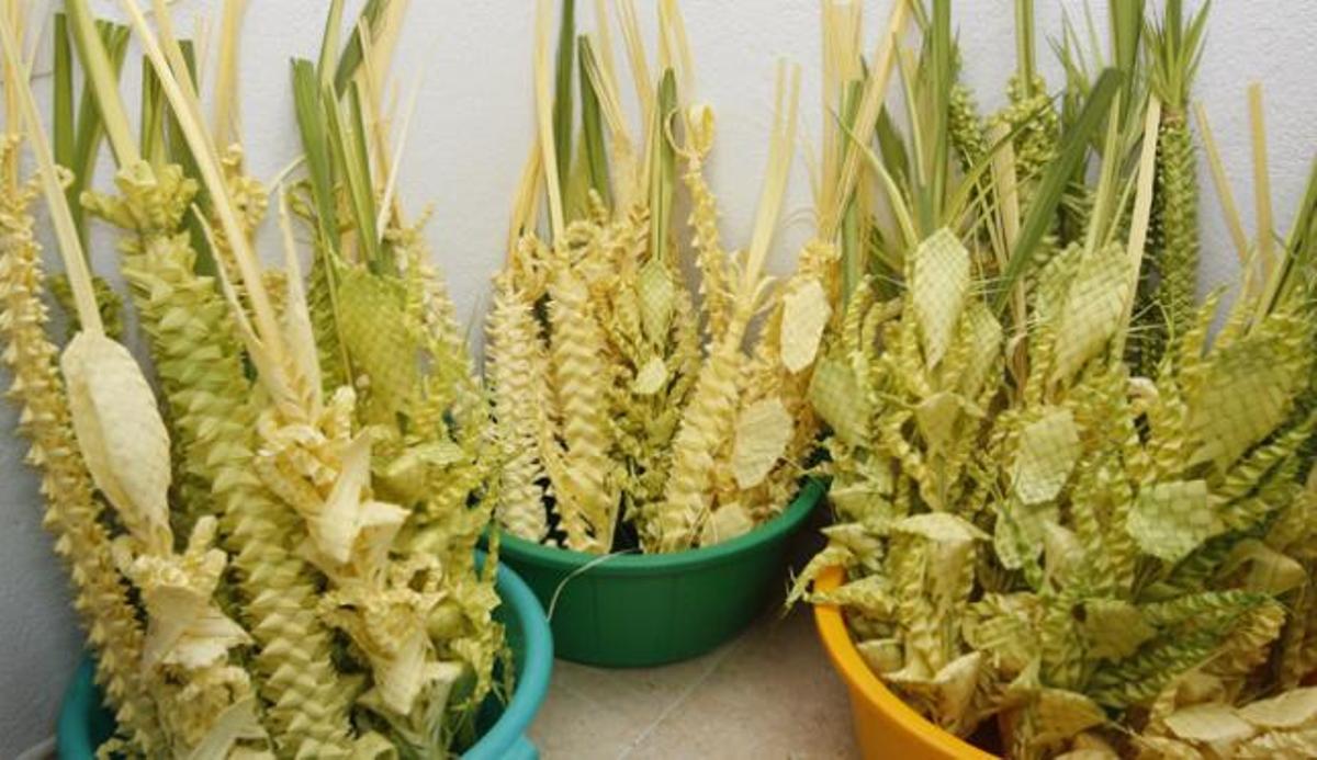 Palmas de Domingo de Ramos confeccionadas en un taller en el centro social de Can Bonet.