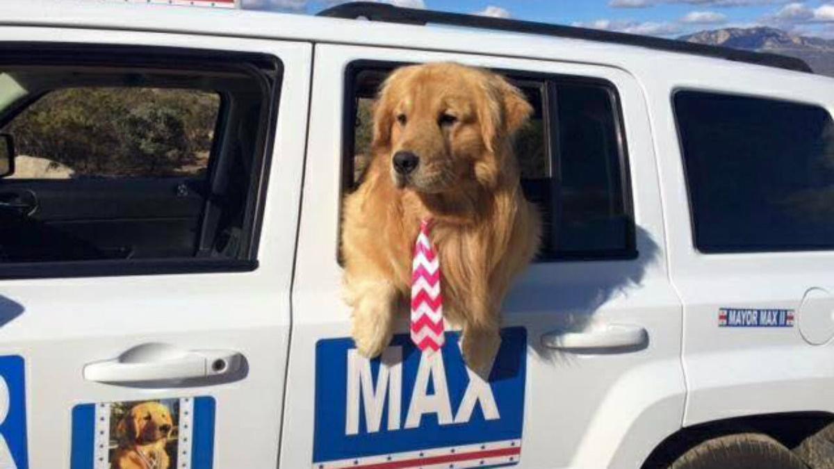 mayor-max