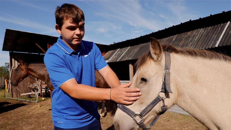 Francia investiga mutilaciones en serie a 40 caballos