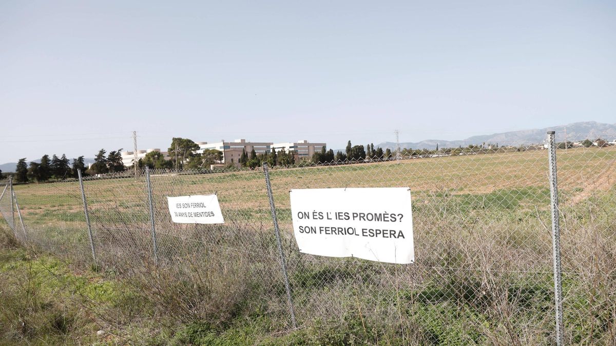 VIDEO | Futuro recinto ferial de Palma: aforo de ocho mil personas, varios eventos a la vez y un párking para hasta dos mil coches