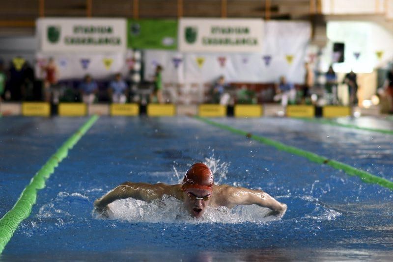 Trofeo Ciudad de Zaragoza de Natación