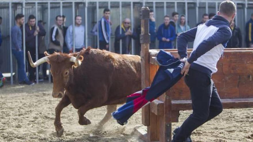 Los actos taurinos llegan a las fiestas de Sant Antoni de Benicàssim