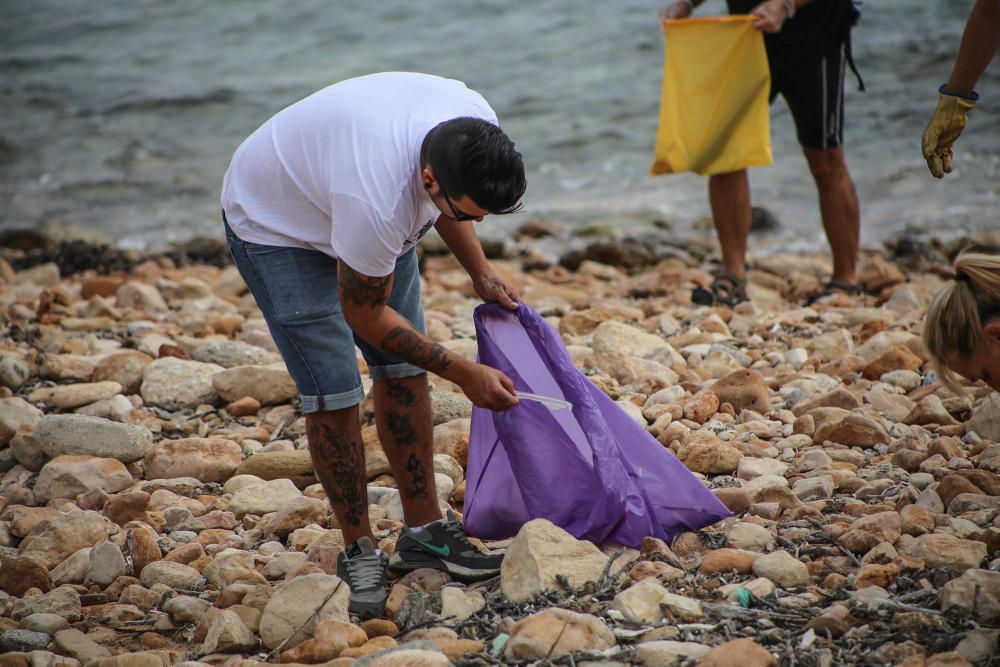 Limpieza del palmeral de Ferrís en Torrevieja