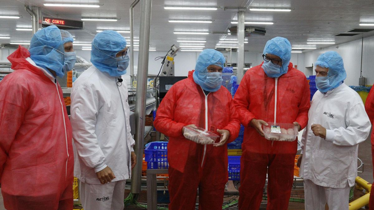 El Perte agroalimentario ha adjudicado ya más de 232 millones en ayudas, de las que el 30% han ido a empresas catalanas