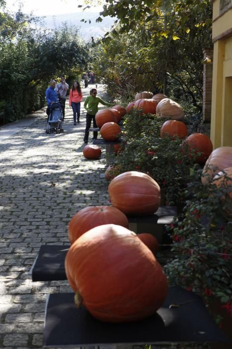 Calabazas y calaveras en el Botánico