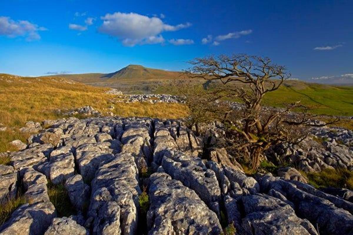 Ingleborough