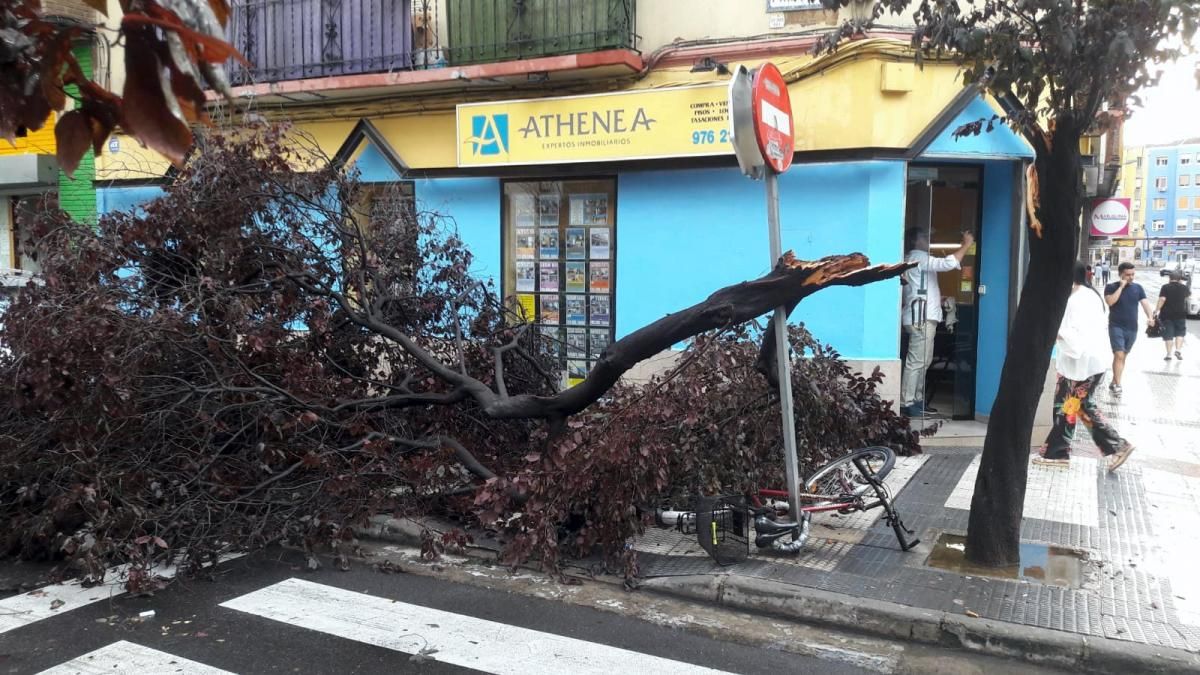 Consecuencias de la tormenta en Zaragoza