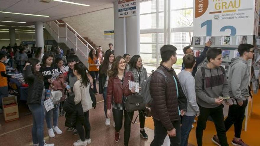 Estudiantes de Bachillerato y FP de toda la provincia visitaron ayer la Universidad de Alicante para tratar de orientarse sobre la carrera que quieren cursar.