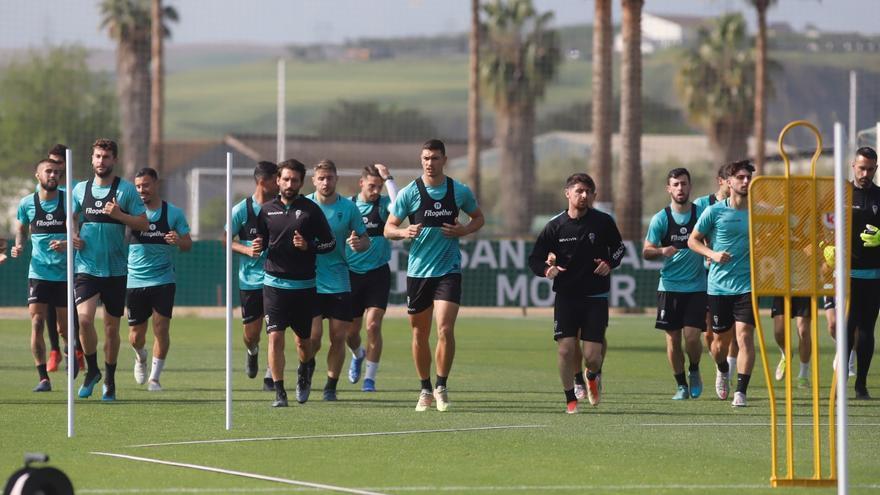 El Córdoba CF quiere amasar más récords y romper la maldición canaria