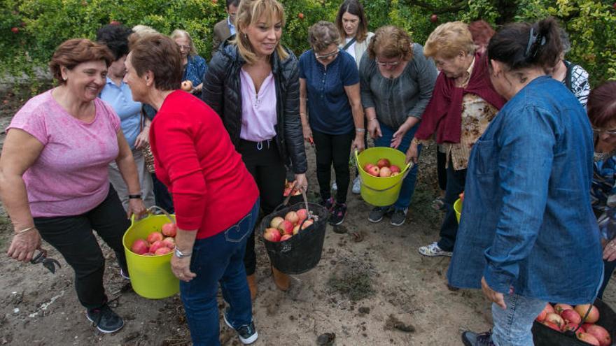 La granada mollar se pone a régimen