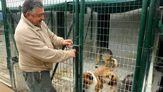 Puigcerdà planta cara a l’abandonament animal: fins a 153 euros si no reculls la teva mascota
