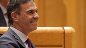 Pedro Sánchez, el pasado martes en el Senado.