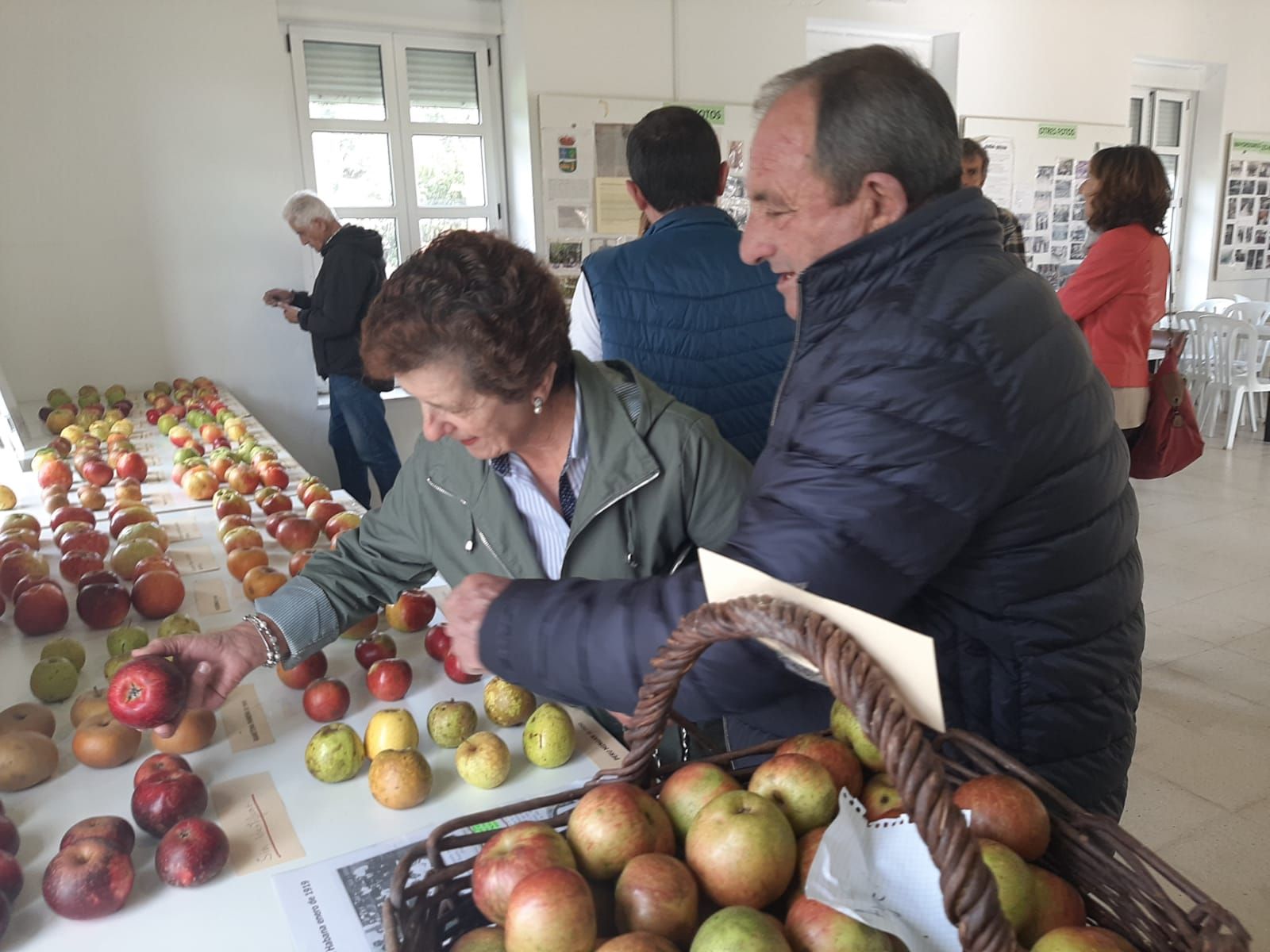 Muñó, capital de la manzana de Siero: así ha sido la exposición de variedades organizada por los vecinos