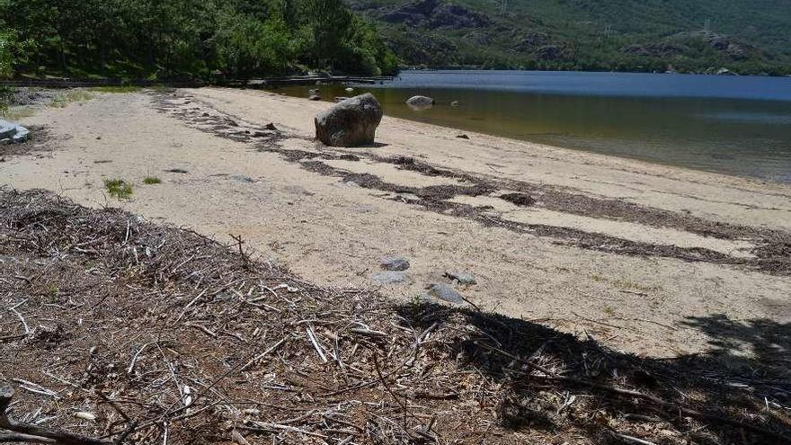 Aspecto de la playa de Viquiella, en el Lago de Sanabria.