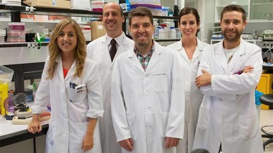 Silvestre Vicent, en el centro de la imagen, rodeado de su equipo en el Centro de Investigación Médica Aplicada.