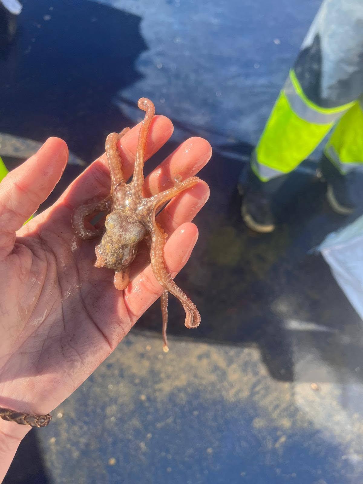Las impactantes imágenes del cuaderno de bitácora de los 'pescadores' de furtivos