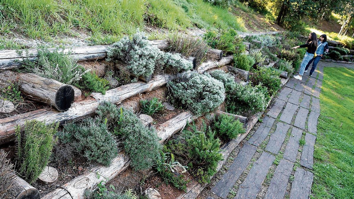 Espacio para urnas de madera en el 'Camí del Bosc' del camposanto de Roques Blanques de Barcelona