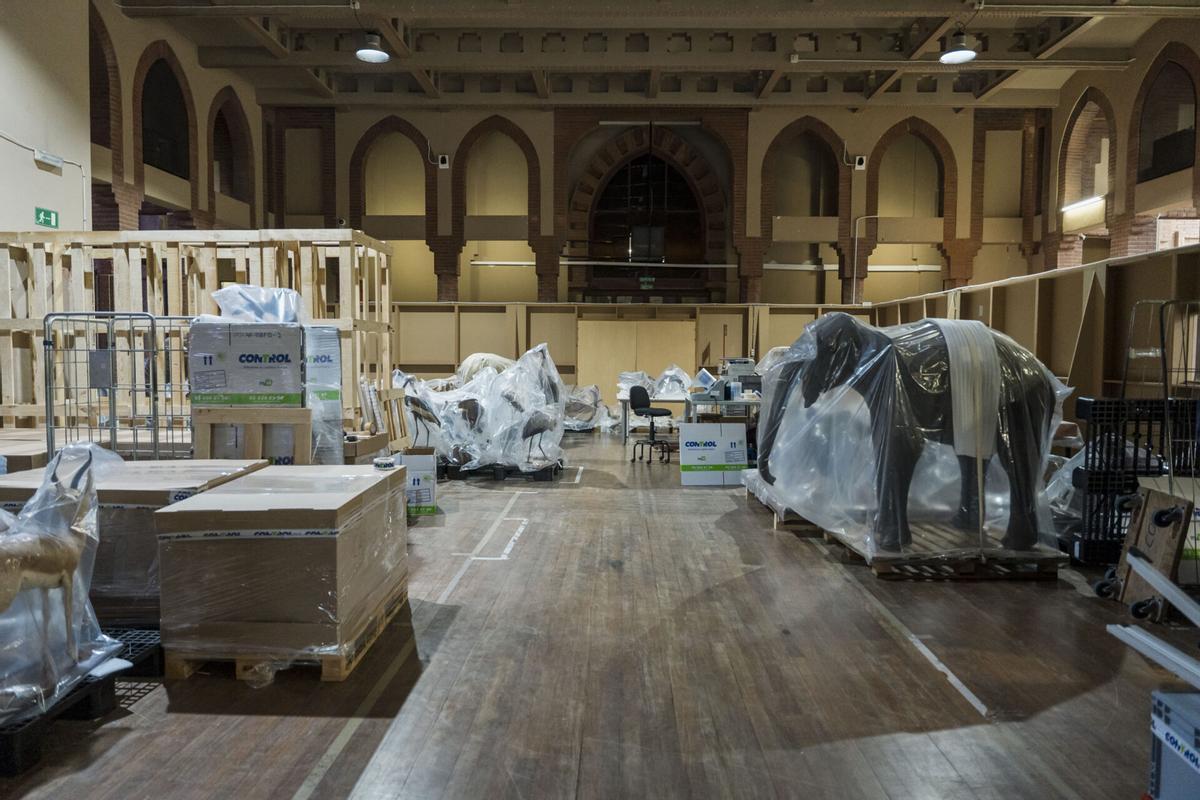 Un elefante disecado, entre las piezas del Castell dels Tres Dragons que se trasladan al Fòrum por obras