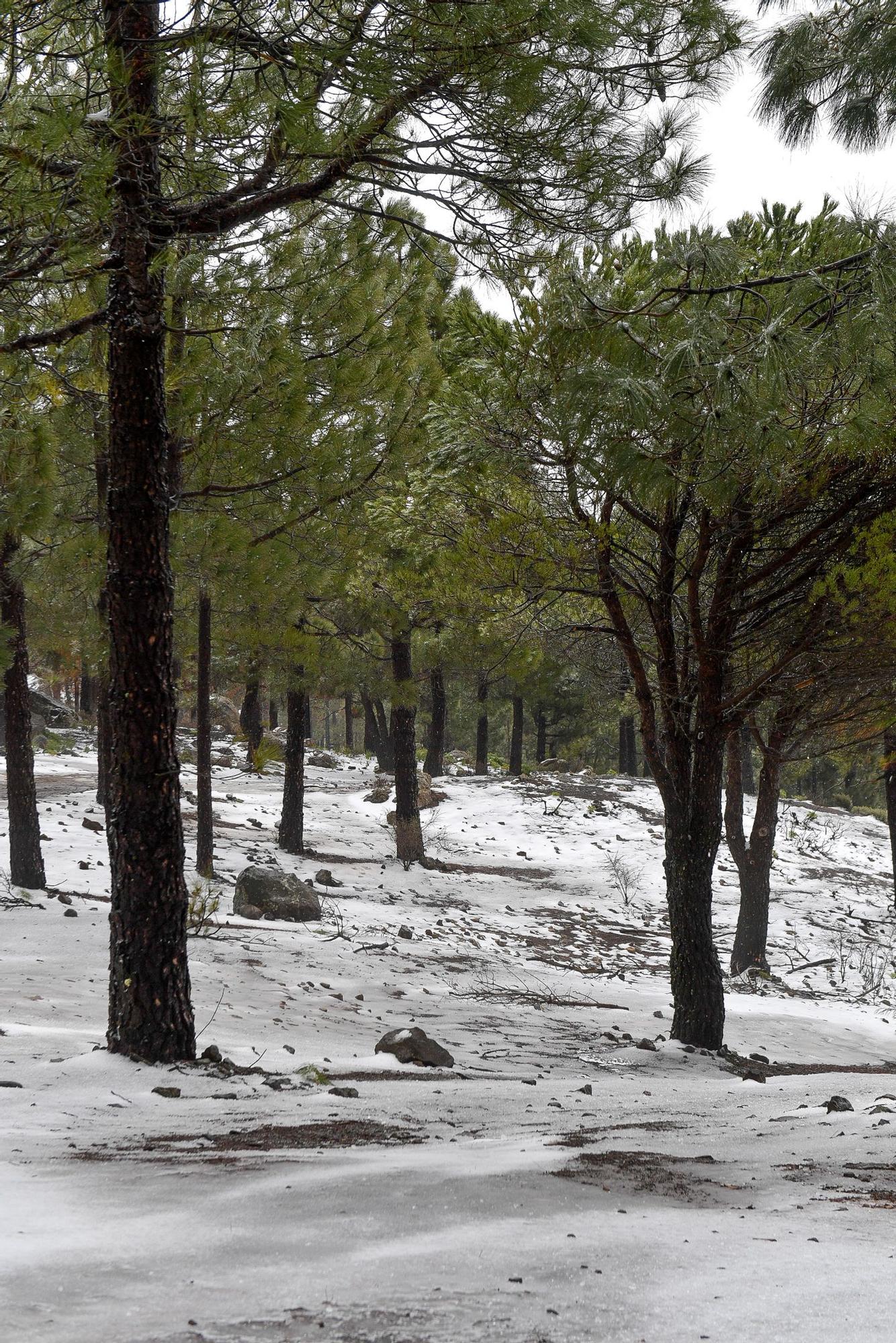 Nevada en Gran Canaria (16/02/23)