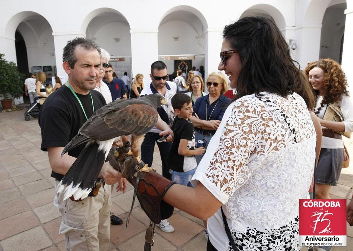FOTOGALERÍA/ Imágenes de la sesión de Intercaza FOTOGALERÍA/ Imágenes de la sesión de Intercaza