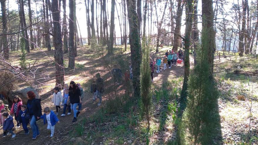 Los niños se adelantan a la procesionaria