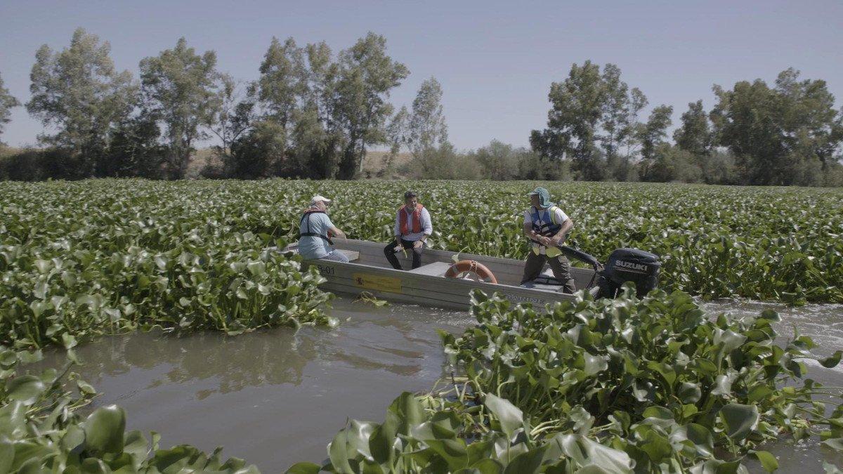 Jalis de la Serna: &quot;En España hay mucha más agua de lo que nos pensamos&quot;