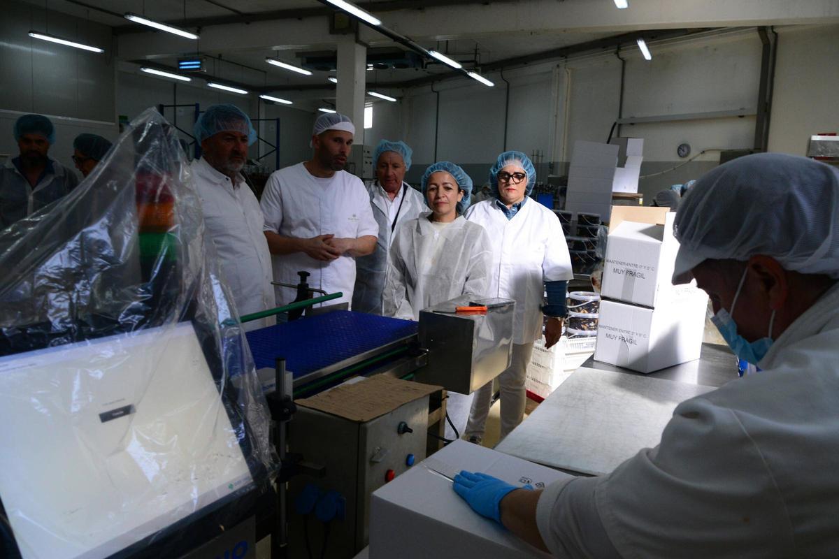 Visita a las instalaciones de Pescados Marcelino, una empresa con más de medio siglo de historia en el puerto de Aldán Visita a las instalaciones de Pescados Marcelino, una empresa con más de medio siglo de historia en el puerto de Aldán