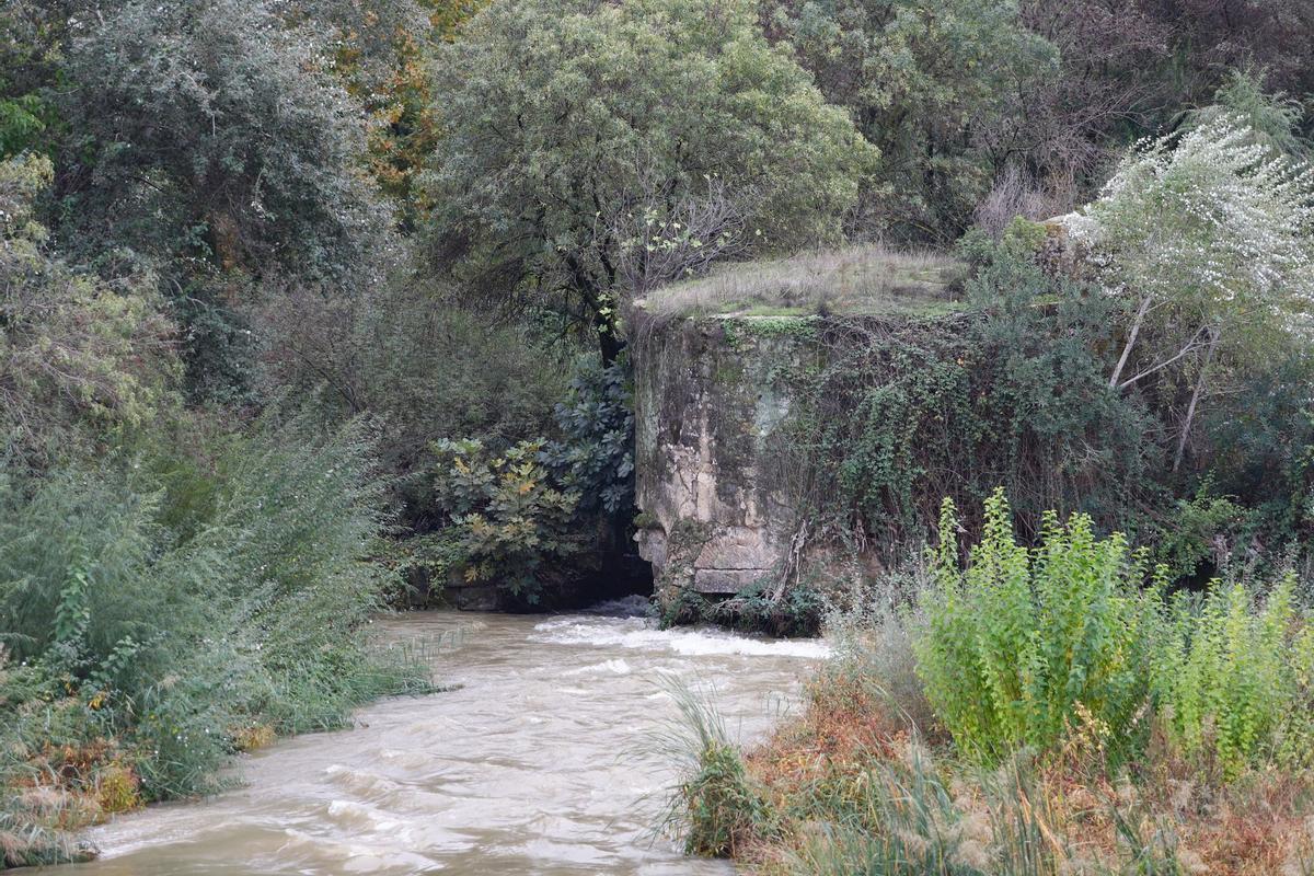 Molino de enmedio.