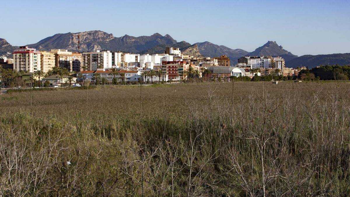 L’Hort de Redal se convertirá en un bosque fluvial cuando finalice el alquiler del terreno. | PERALES IBORRA