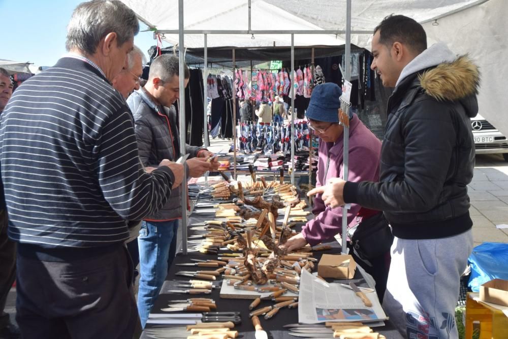 Feria del Burro y romería en San Vitero de Aliste