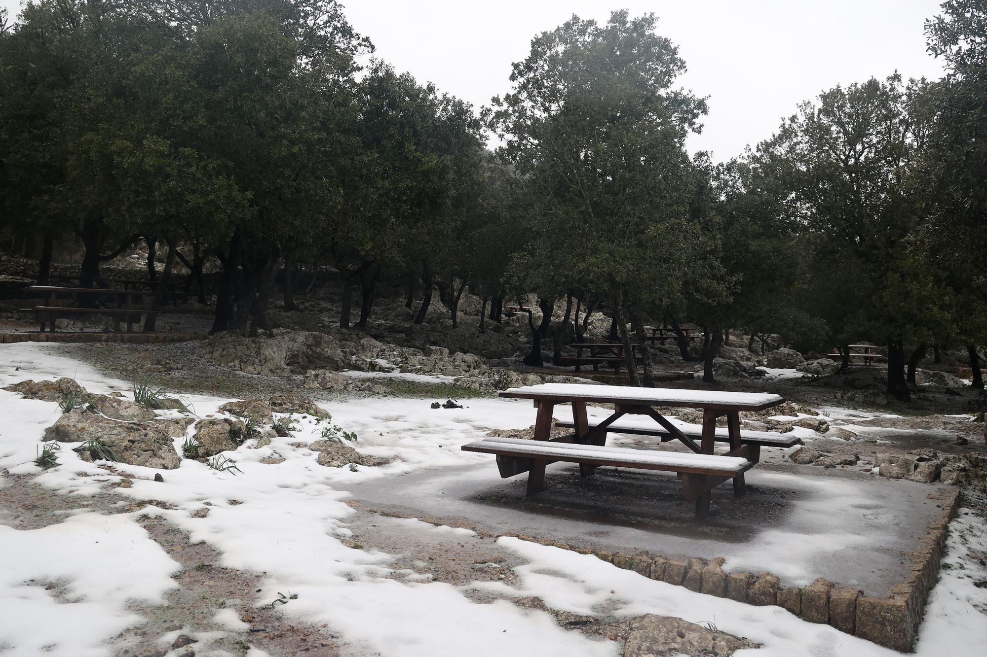 Sehenswürdigkeit Schnee auf Mallorca - neue Bilder aus der Serra de Tramuntana