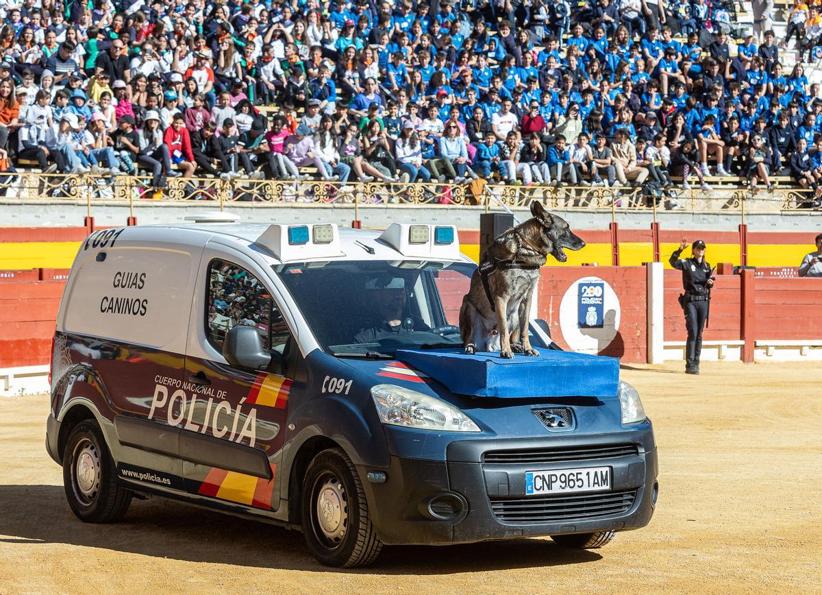 La Policía Nacional conmemora su 200 Aniversario con una exhibición en la Plaza de Toros de Alicante