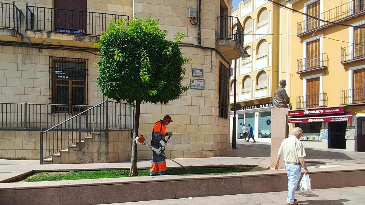 Un jardinero trabajando en Lucena.