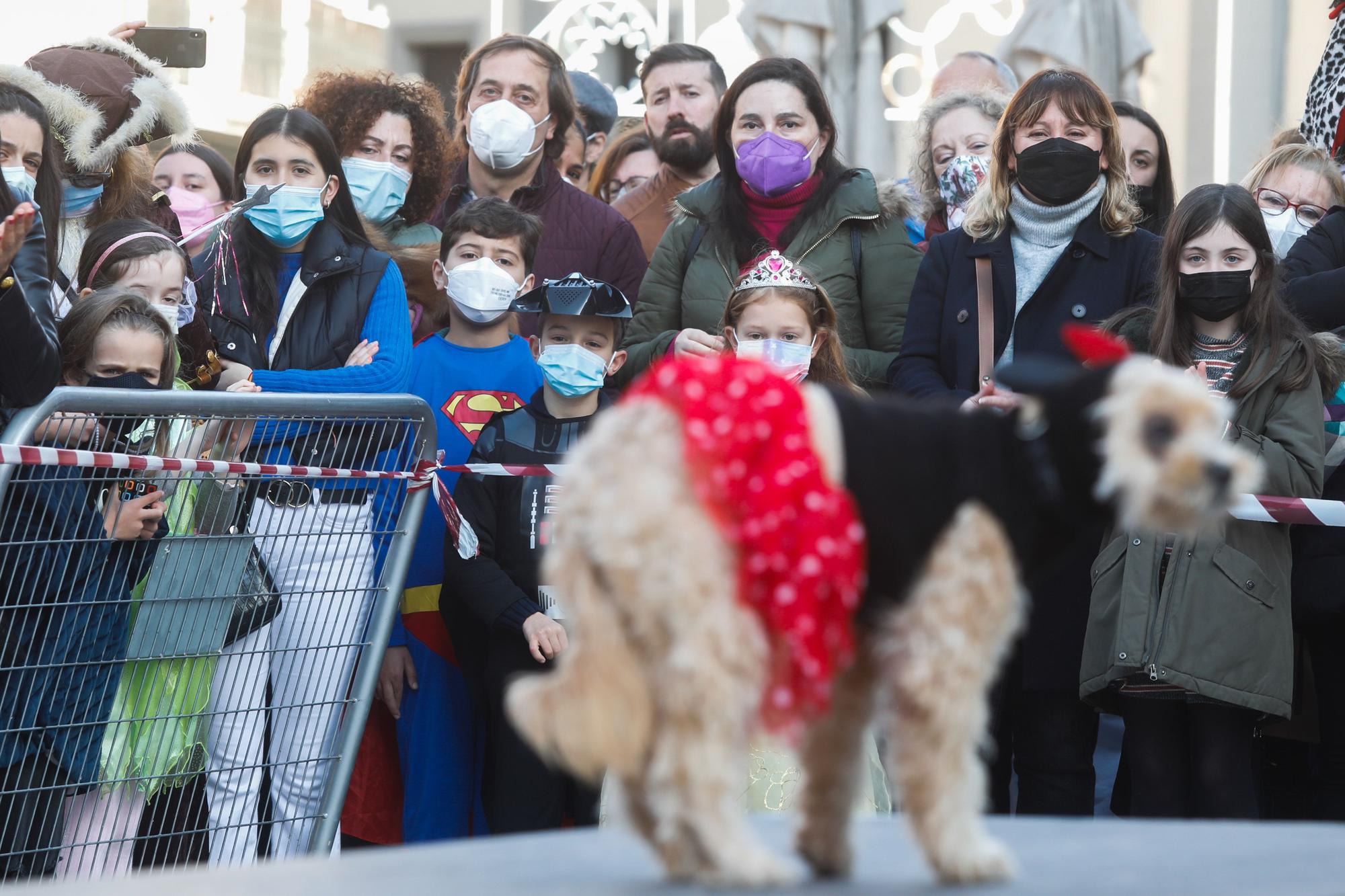 El domingo de Antroxu en Avilés: perros y coches, disfrazados