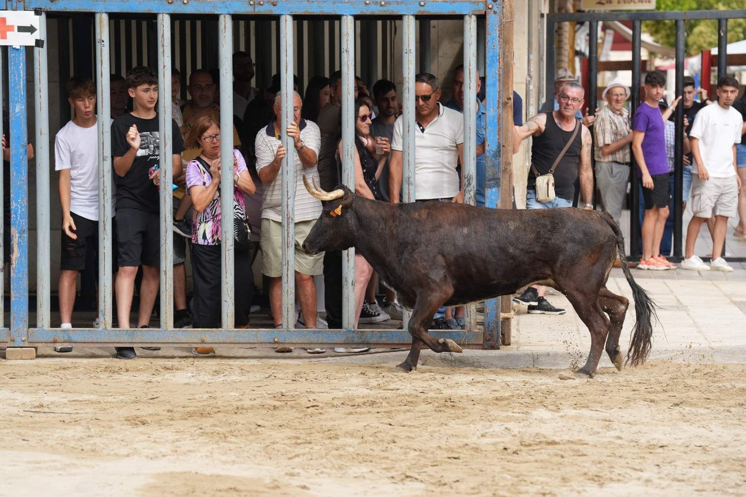 El Grau da inicio a las fiestas de Sant Pere con pólvora, bous y música