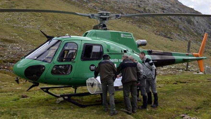 Primera vigilància transfronterera dels agents rurals dels dos vessants dels Pirineus