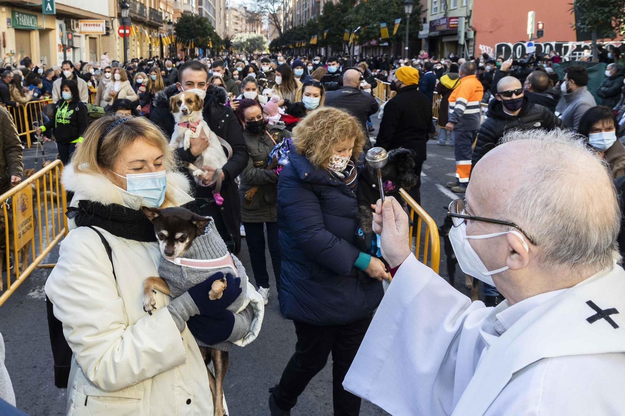 Búscate en la bendición de animales de Sant Antoni