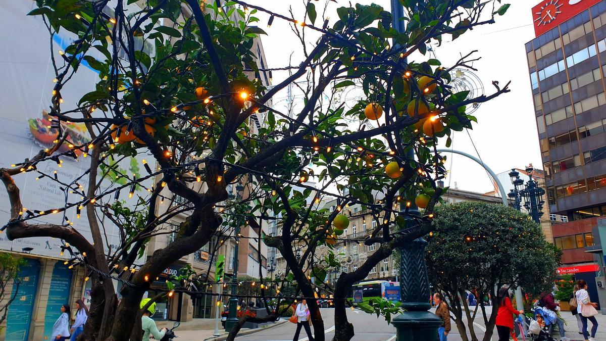 Luces encendidas en los árboles de la calle Colón, la tarde de este martes