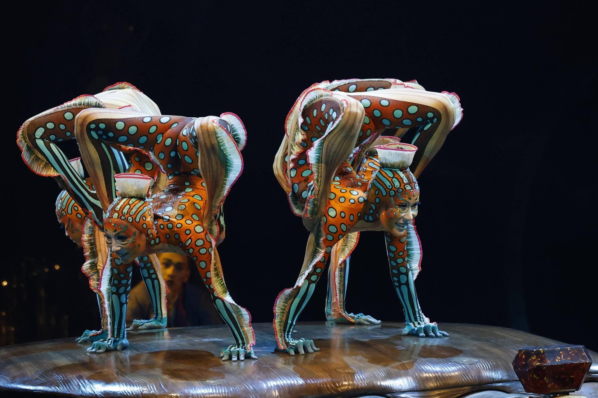 EN IMÁGENES: Acrobacias de todos los colores en el Circo del Sol, se estreno en Gijón