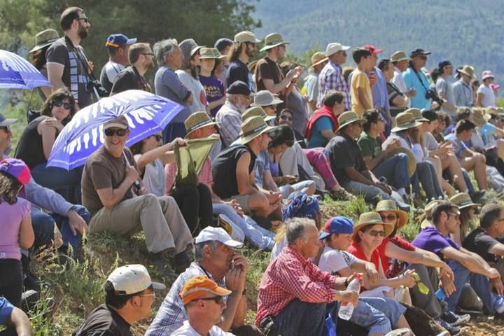 La Valleta de Agres ha sido un año más el escenario del Concurs de Gossos de Ramat