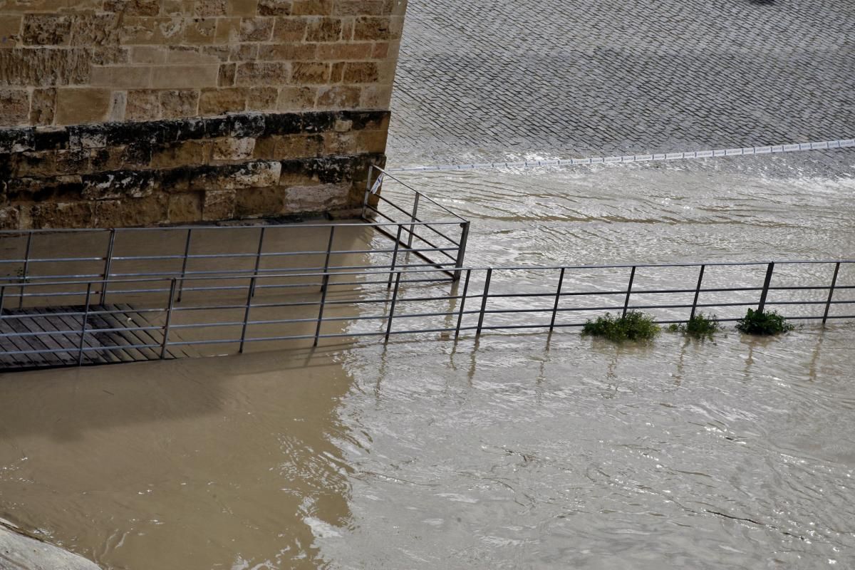 Córdoba, pendiente de la crecida del Guadalquivir