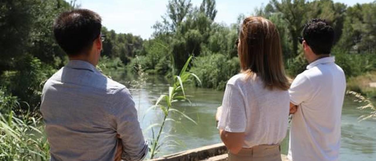 Plan para erradicar la caña en cuatro tramos del río Túria en Paterna