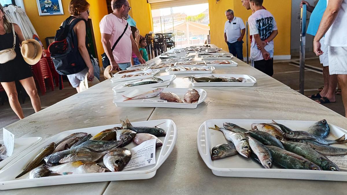 Un momento de una de las subastasde pescado realizada en la lonja de El Campello (Alicante).