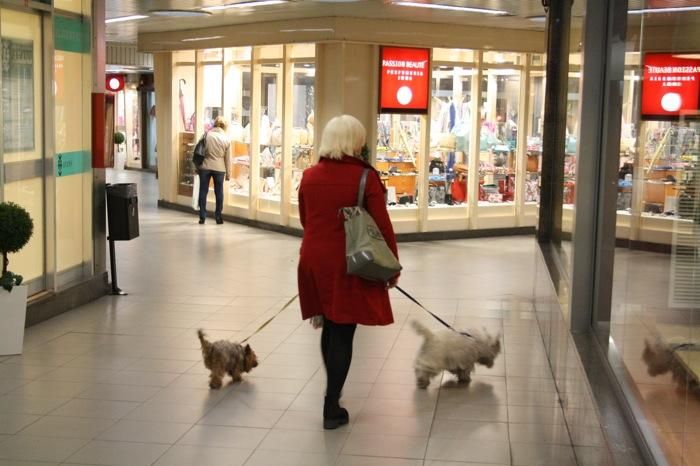 Poca vida a les galeries Passeig Centre