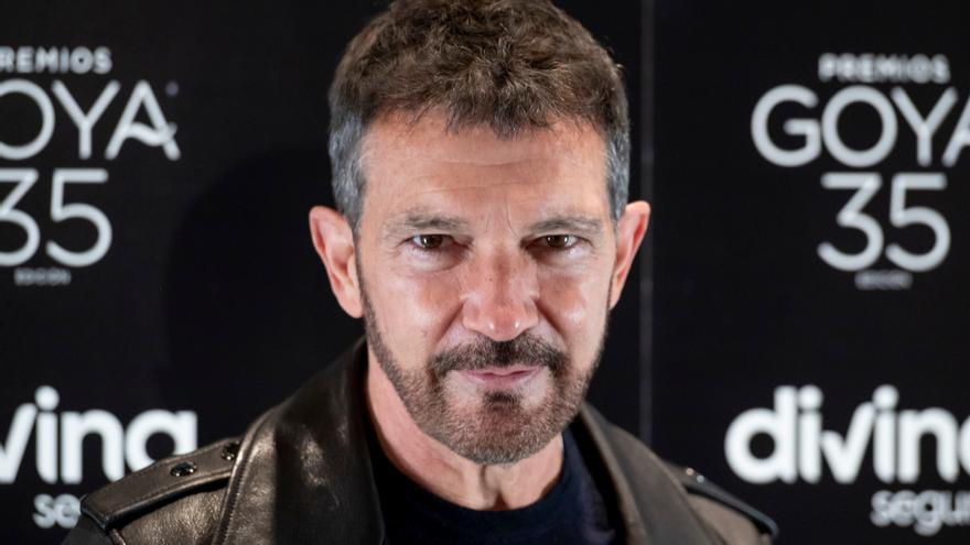 Antonio Banderas: &quot;Los Goya son más complicados que los Globos de Oro&quot;