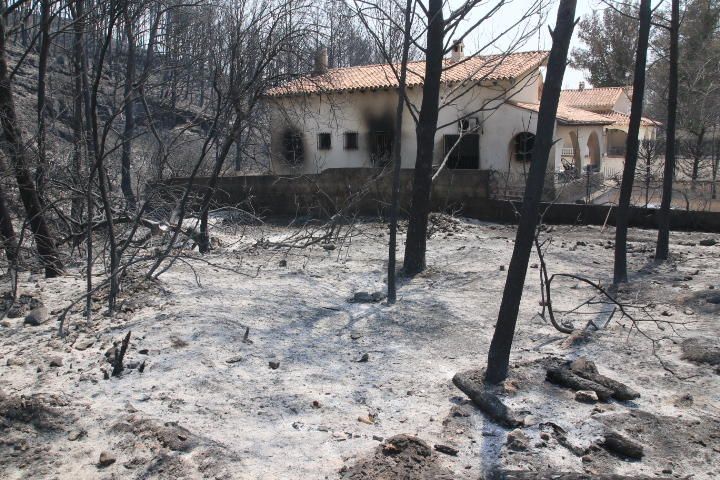 Incendio forestal entre Pinet, La drova y Marxuquera