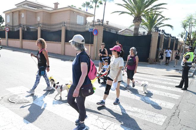 La marcha canina benéfica de Vila-real, en imágenes